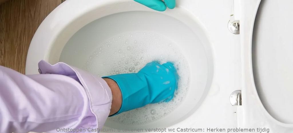 6 tekenen verstopt wc Castricum: Herken problemen tijdig
